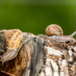 Tutorials for learning and teaching photography