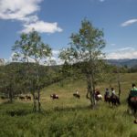 Sundance Horseback Riding