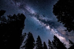 Milky Way over Pine Figures